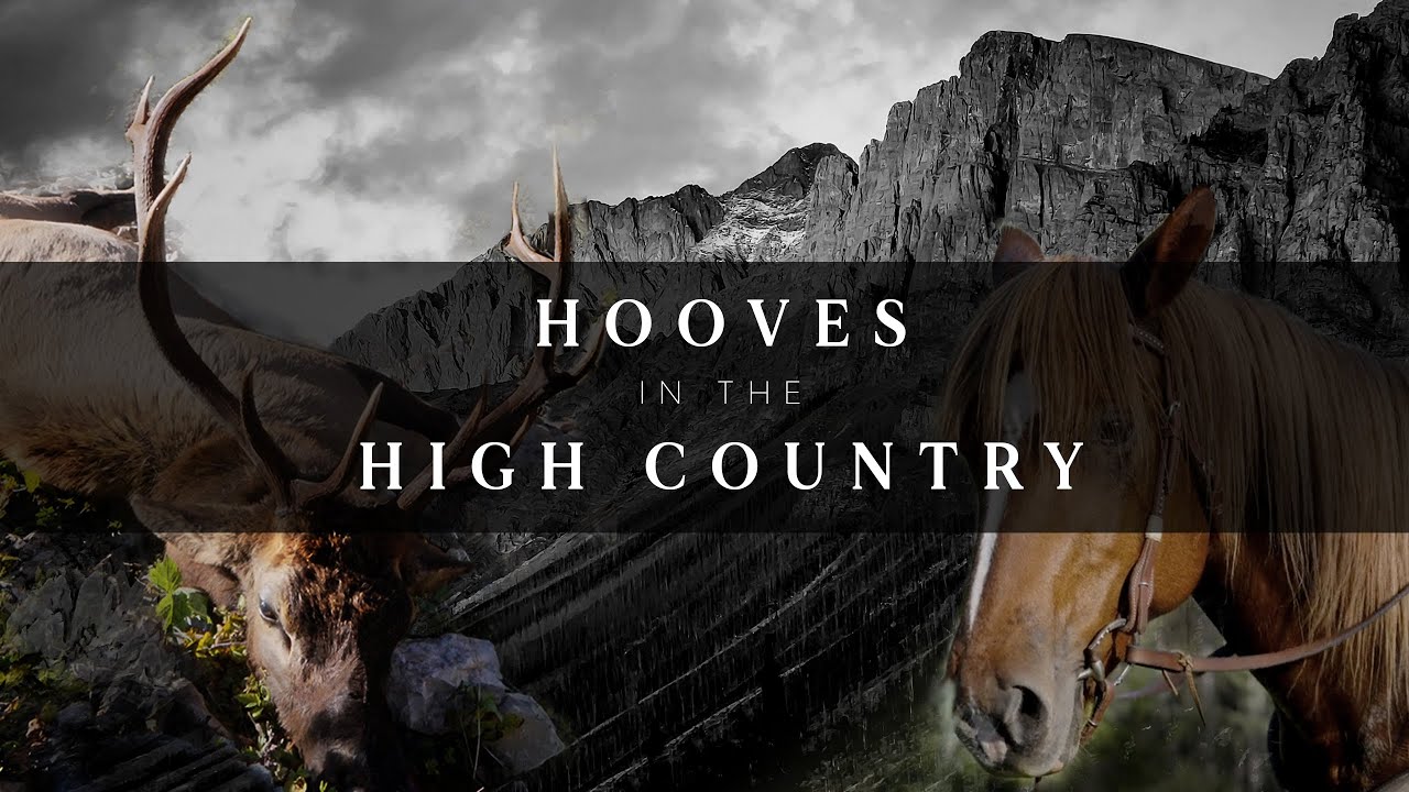 2024 DIY Horseback Elk Hunt in the Rockies | 4K Film