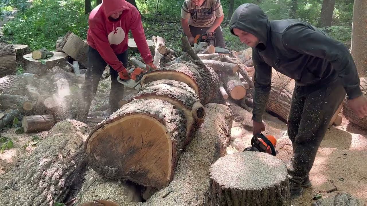 STIHL MS 361-462C-M