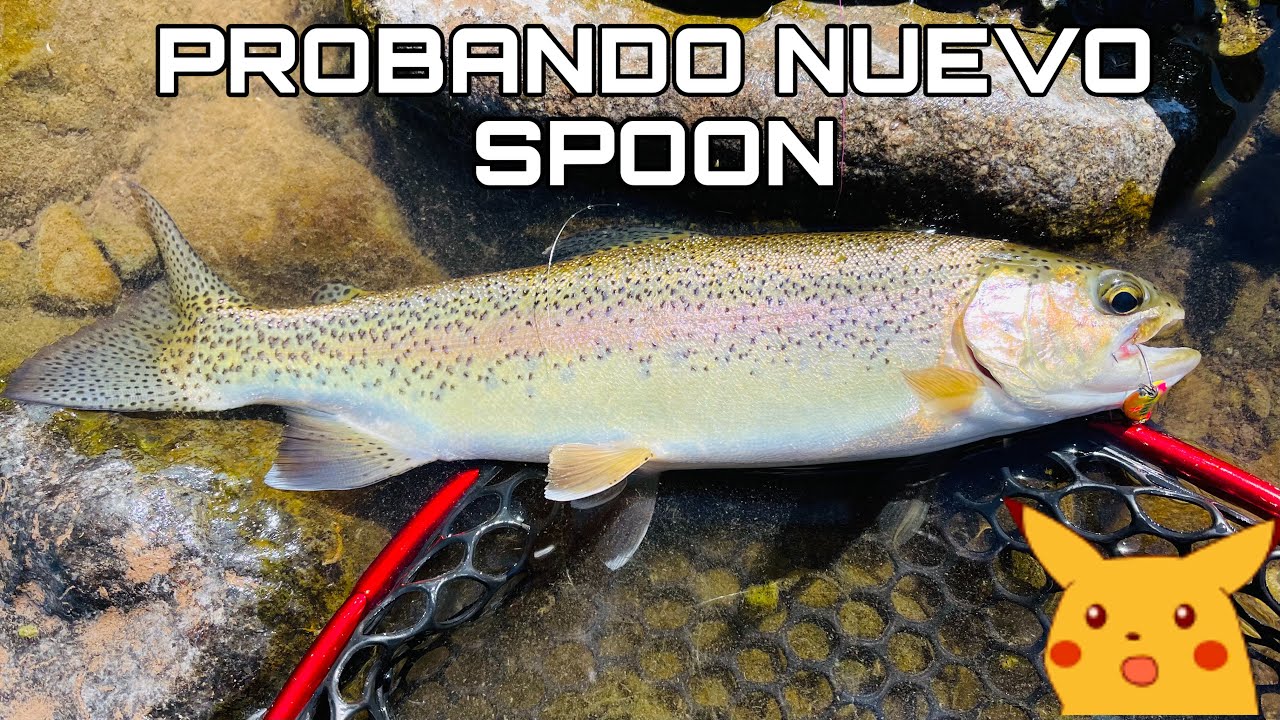 Probando Nuevo Spoon… IMPRESIONANTE!! 😱🎣