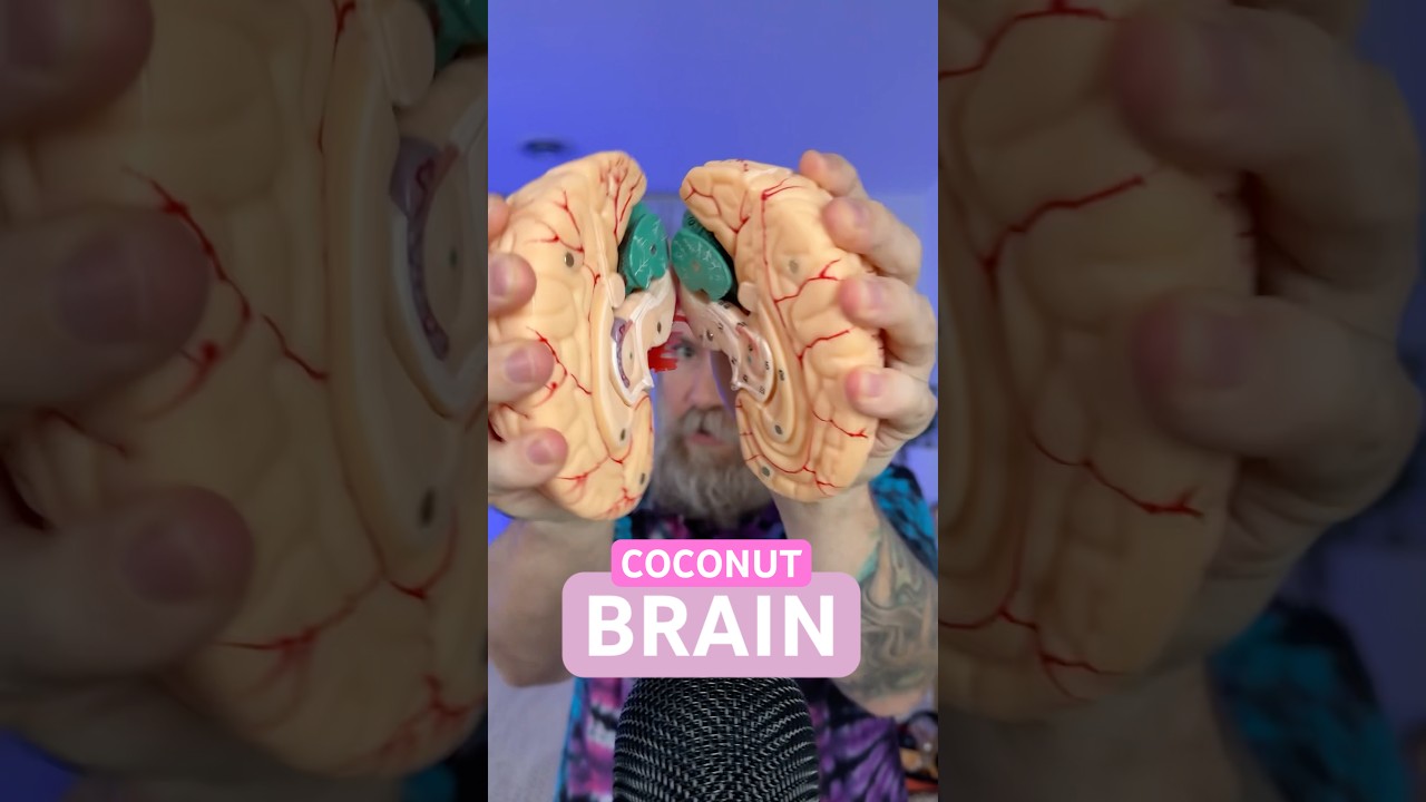 ASMR Coconut BRAIN trigger