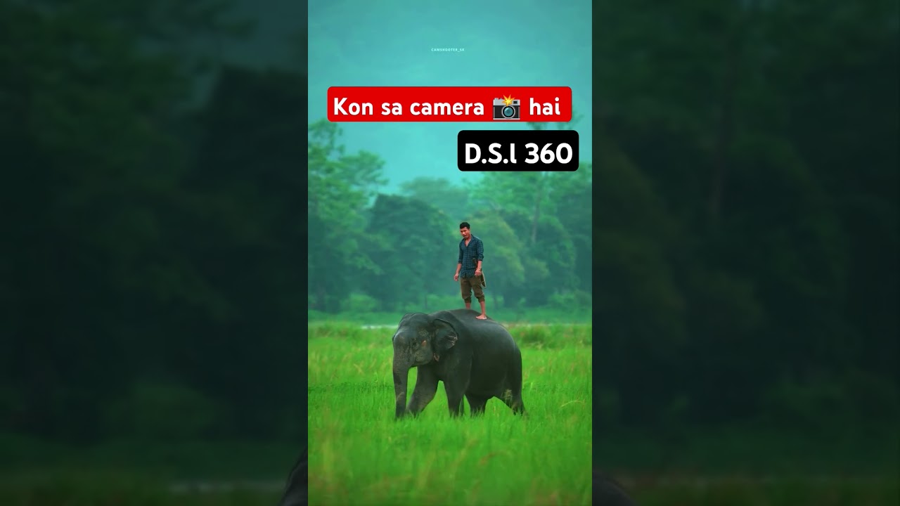 animals photography amezon ka jangle kesa he #shortsfeed #trending #viral #animals #RKFOODBLOG12