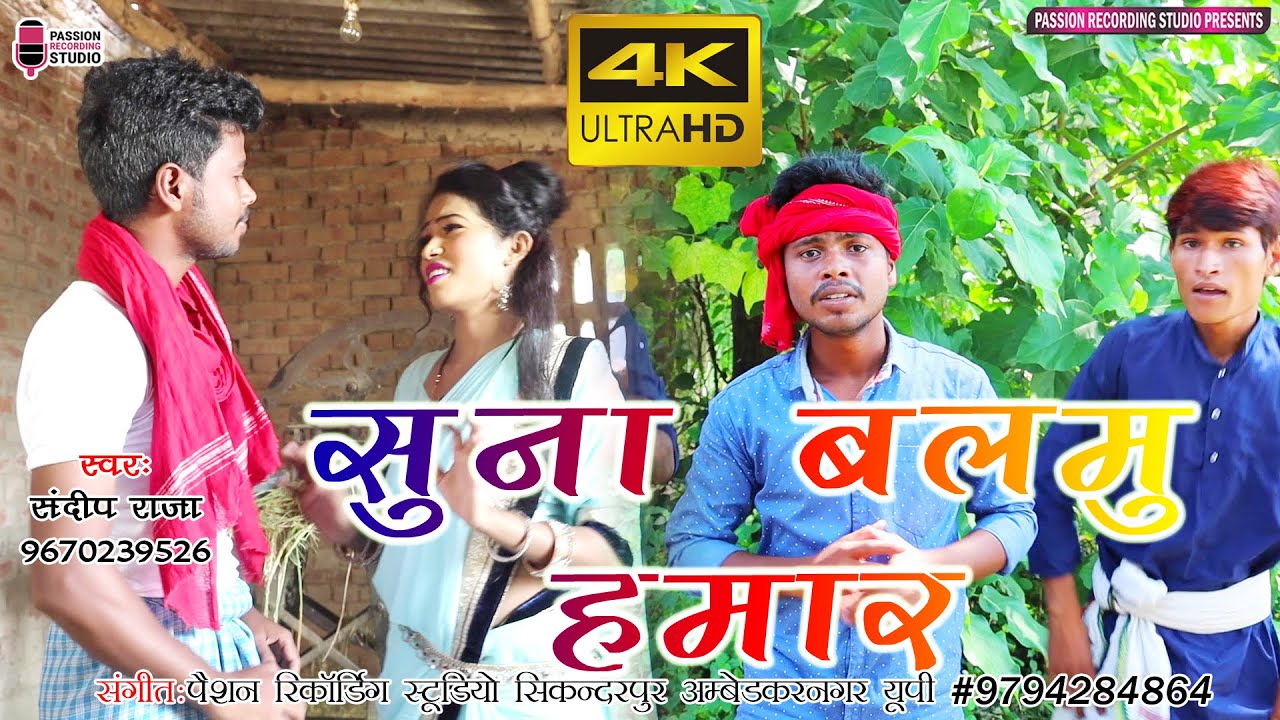सुना बलमु हमार | सुपरहिट वीडियो सांग | Singer- Sandeep Raja Indaipur
