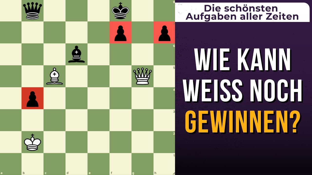 Ein Puzzle, das Schachspieler zum Verzweifeln bringt