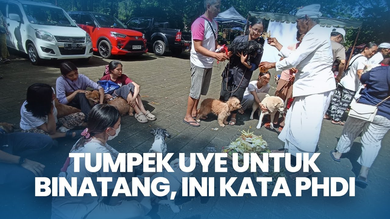 Apakah Tumpek Uye Hanya untuk Hewan Peliharaan? Ini Kata PHDI Bali