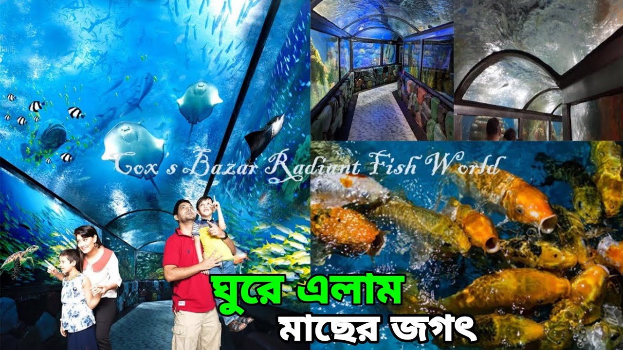 ঘুরে এলাম মাছের জগৎ।Radiant fish world Cox's Bazar.everything Mostafa 