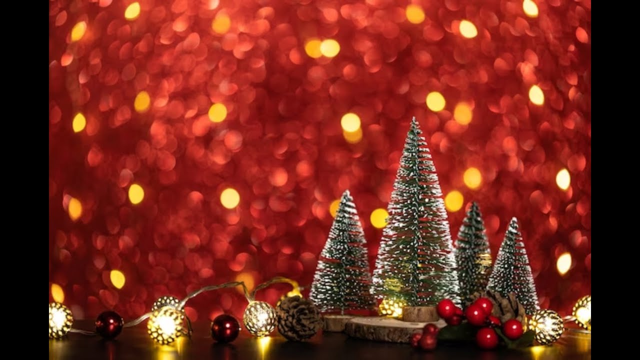 🎄 HAPPY NEW YEAR 🎄 2024 🎄