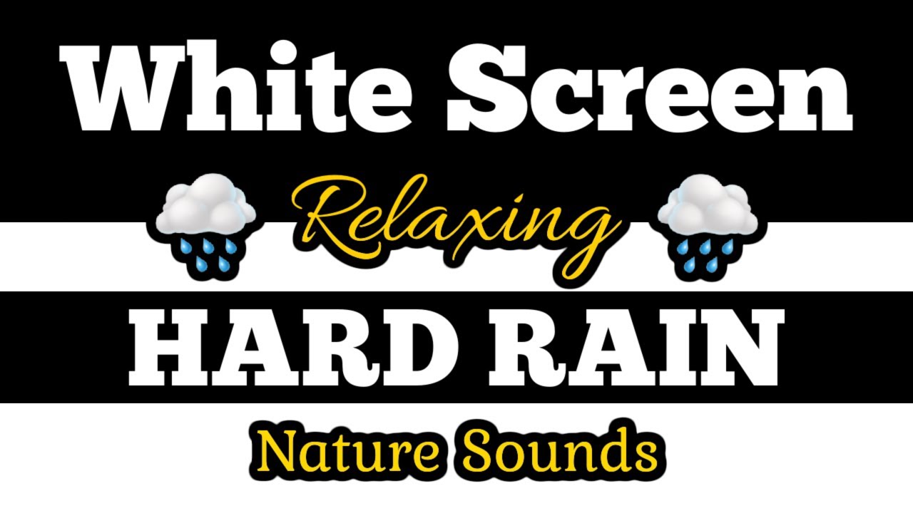 ⬜WHITE SCREEN 🌧️HARD RAIN 🌲Soothing Nature Sounds