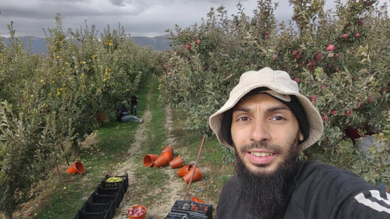 فلوج الشغل والعيشة في مزارع تركيا / سلسلة بلاش تركيا 