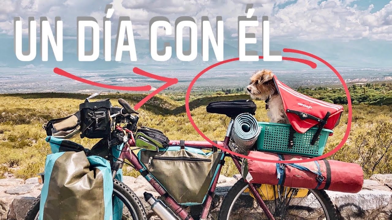 Mancha Mi PERRO VIAJERO y su CUMPLEAÑOS #7 😍