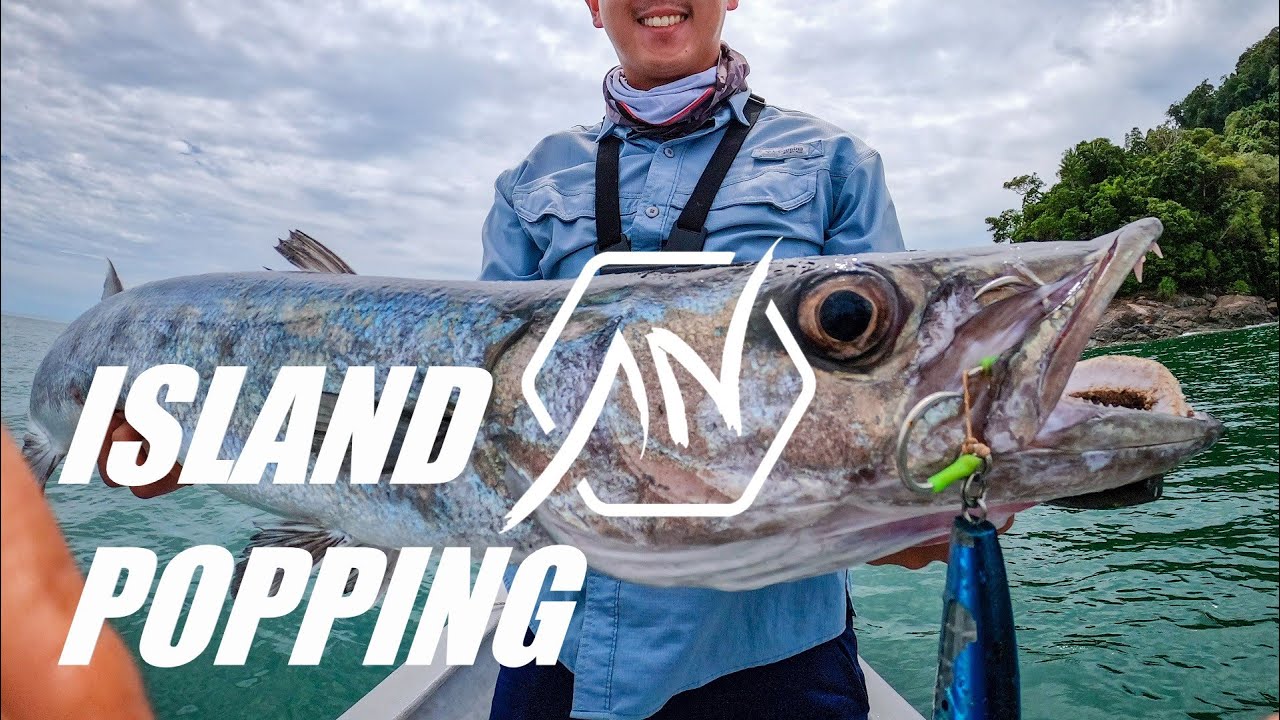 Popping with Shimano Tranx 401 - Fishing for Giant Trevally & Barracuda