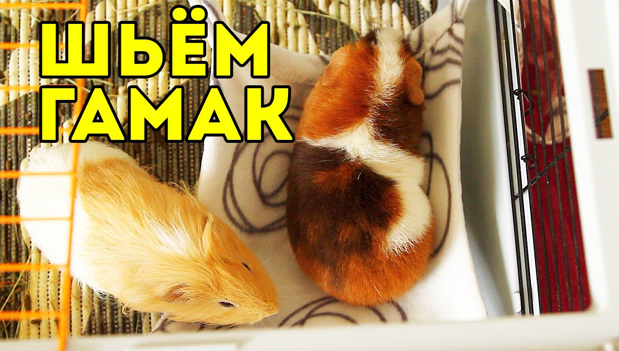 Как пошить гамак для морской свинки: DIY / SvinkiShow