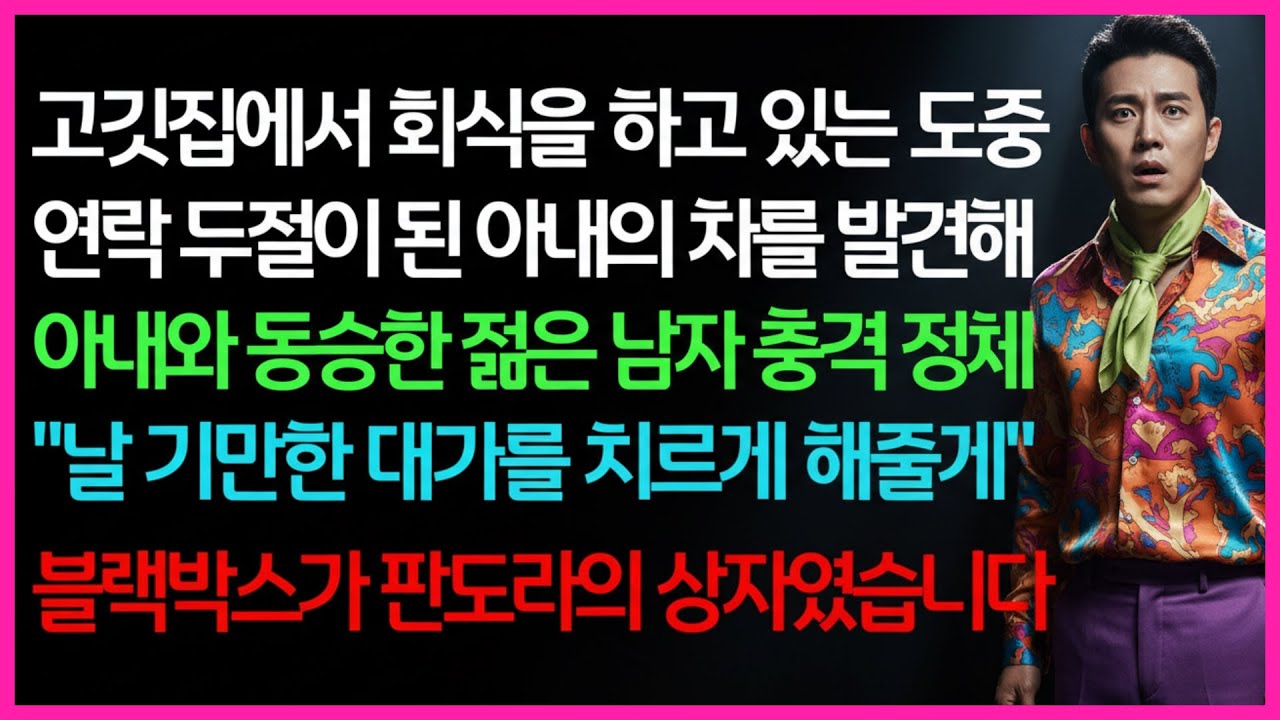 [실화사연] 회식 중 연락이 끊긴 아내… 우연히 발견한 차 안에서 함께 있던 젊은 남자, 그리고 블랙박스가 폭로한 소름 돋는 진실ㅣ라디오드라마ㅣ