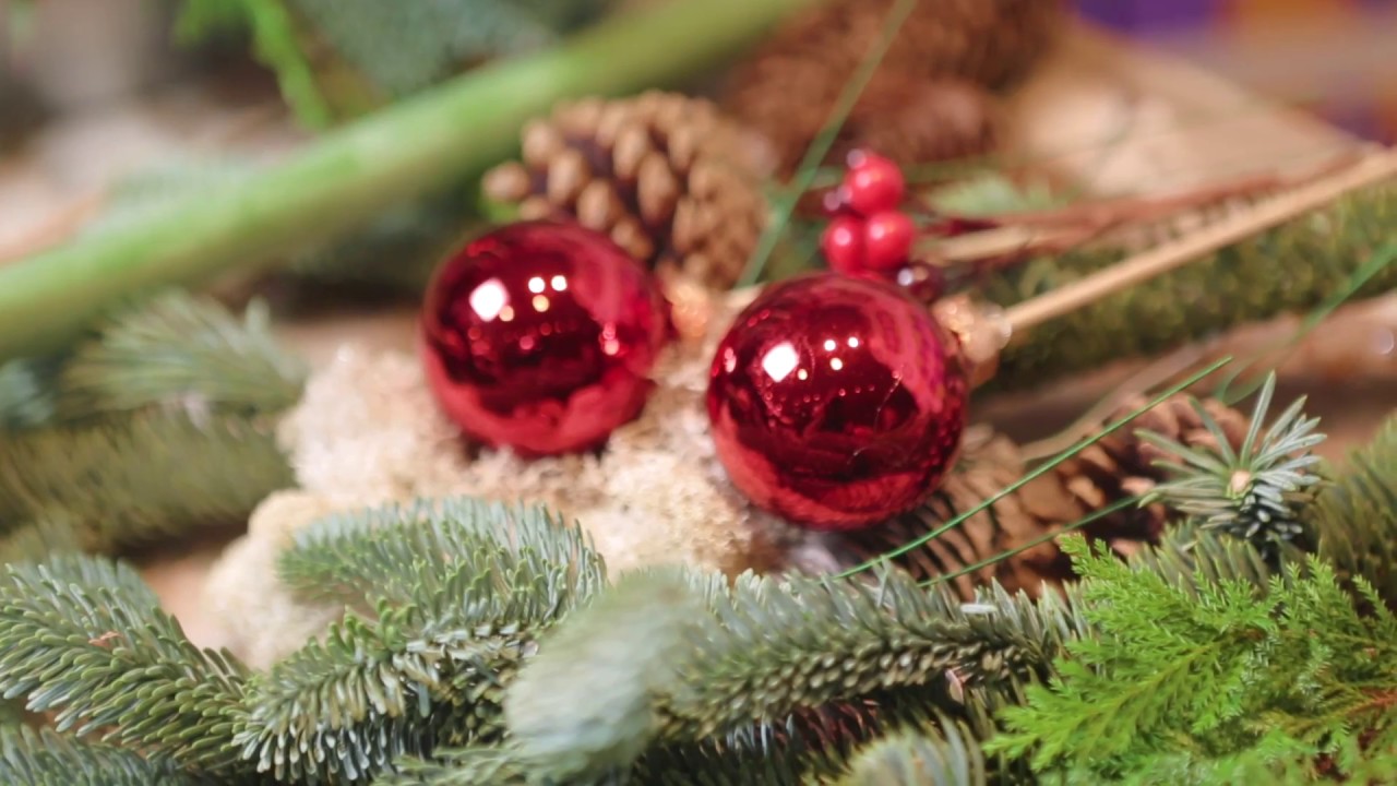 Maak zelf een Amaryllis kerststuk