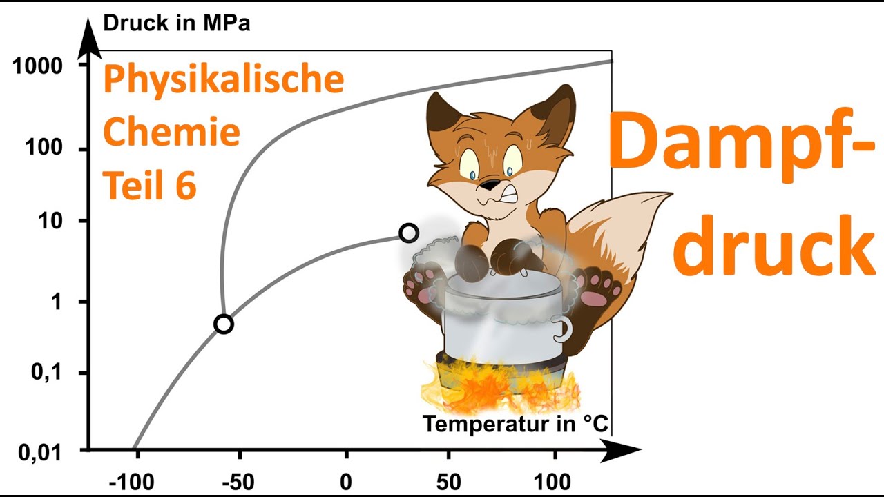 Wie beschreiben wir Phasengleichgewichte? 