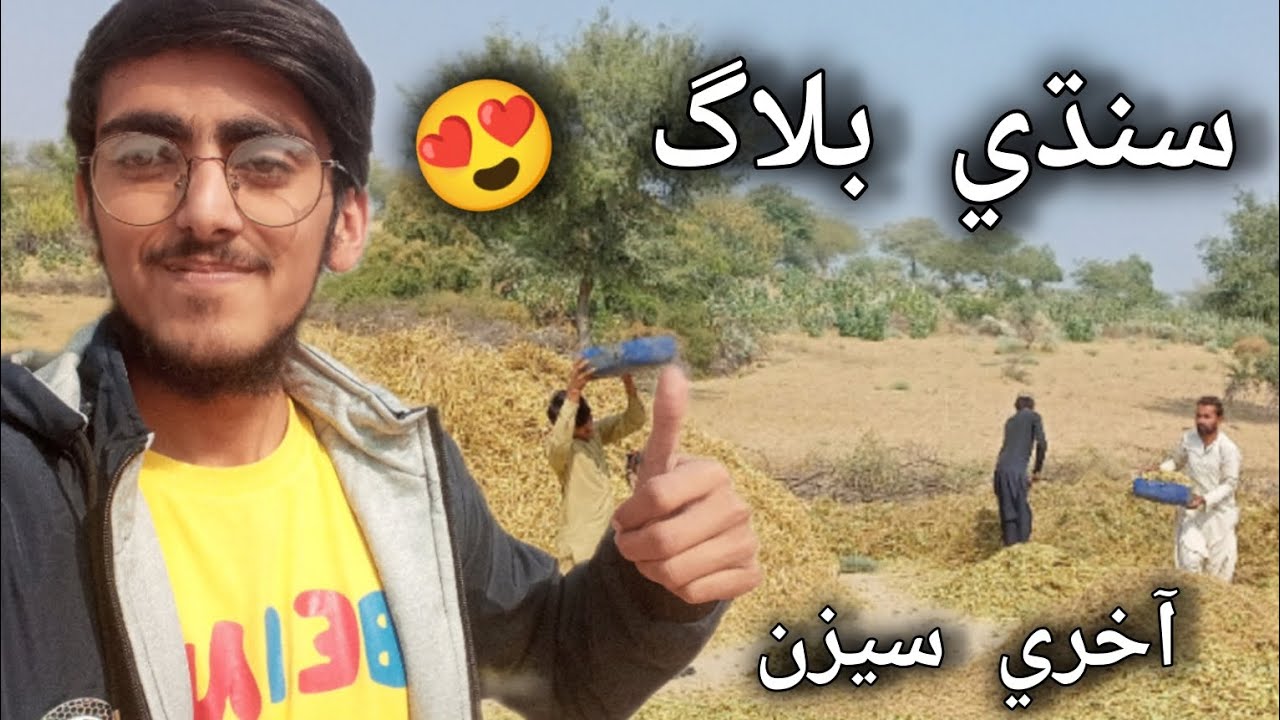 SINDHI VLOG 😍