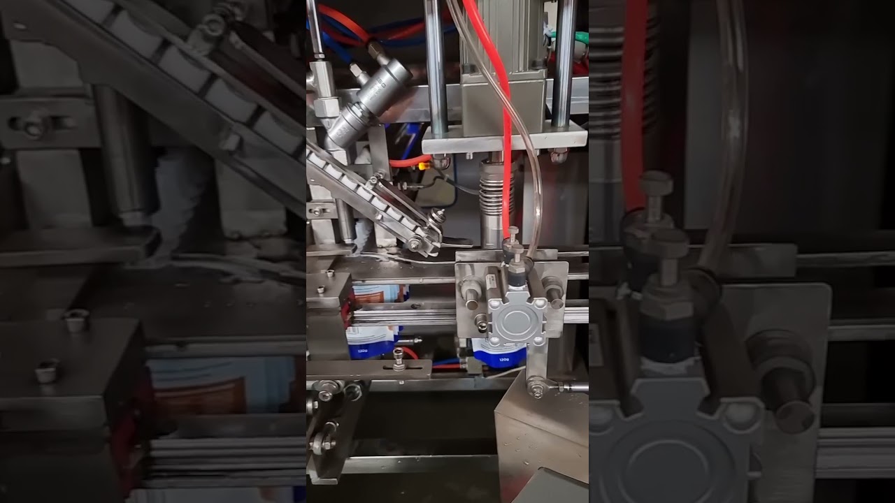 Fully Automatic Pouch Filling and Capping Machine.