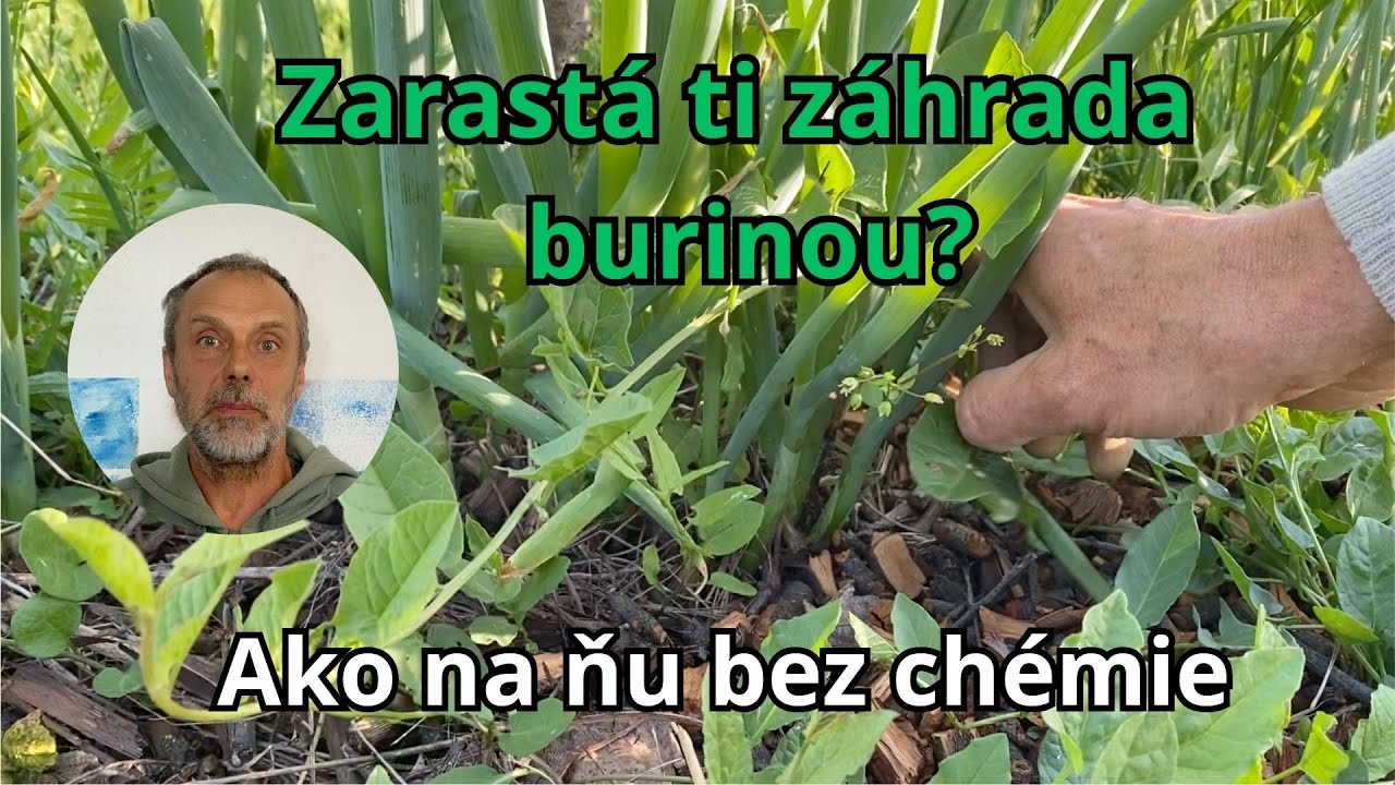 Burina v záhrade – Ako na ňu ekologicky, bez chémie