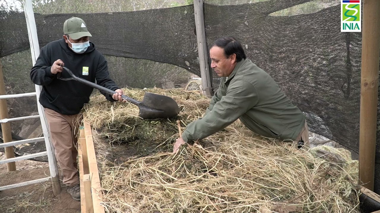 Producción de livixiado y humus de lombriz_INIA Intihuasi