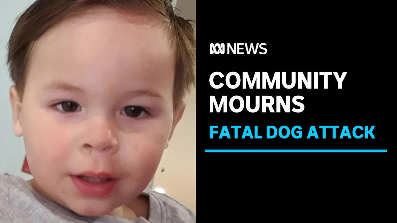 Cowra community mourns death of 2yo Jyedon Pollard after dog attack | ABC News