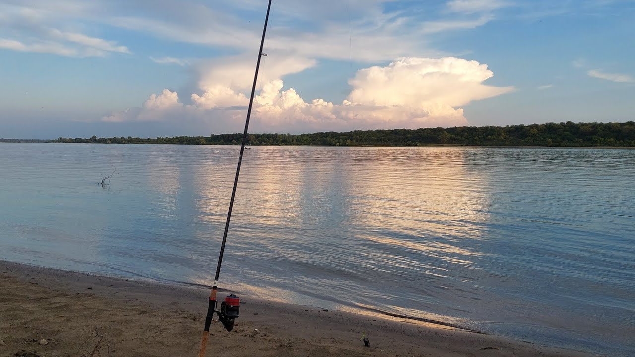 Dunare zona Cetate , iarba multa @feederhacker @Dunare 🦀🦞🦈🐋🐳🐬