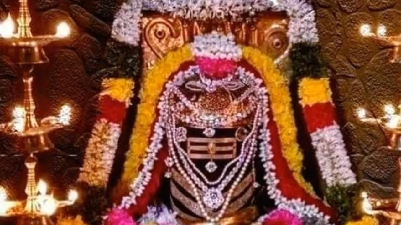 Rudra Roopam Shiva Song | ஓம் நமசிவாயா – Divine Tamil Devotional | Mahadev Blessings