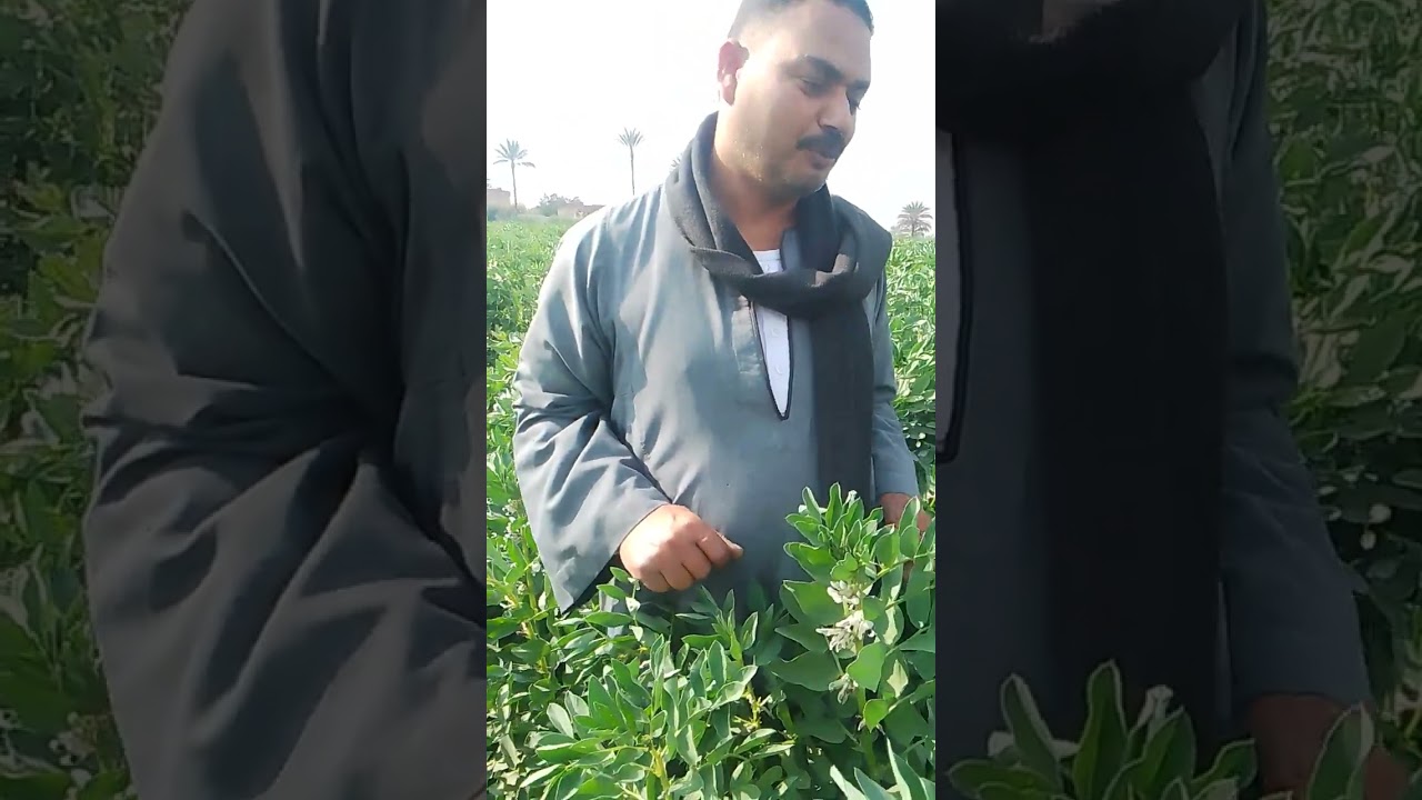 ٥ مارس ٢٠٢٦