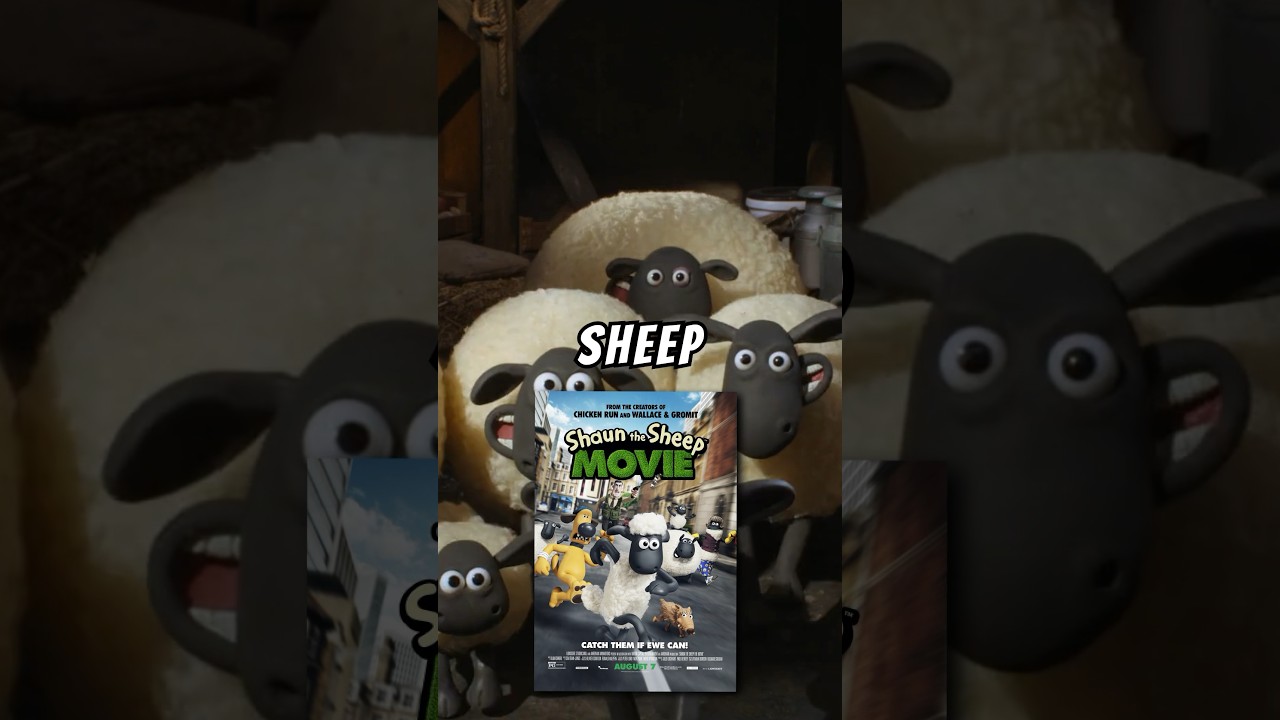 Did You Notice These 5 Things In Shaun The Sheep