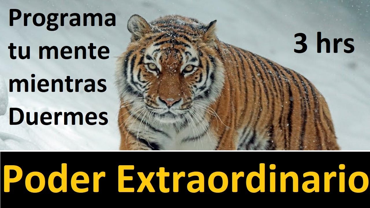 Programa tu mente mientras duermes, Poder Extraordinario 3hrs