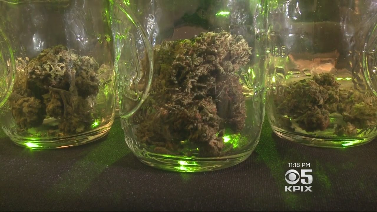 Fungus In Medical Marijuana May Have Led To Man&rsquo;s Death