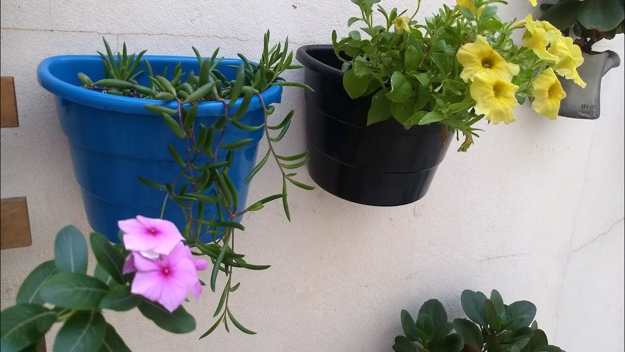 Tudo vira vaso e vamos plantar