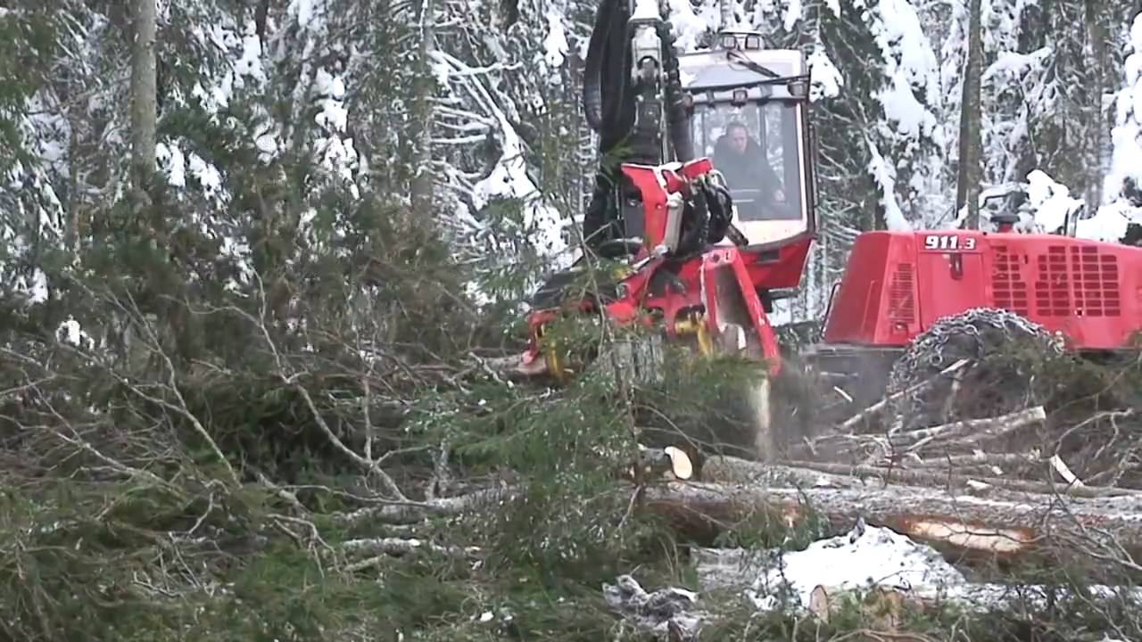 SP 561 LF on Valmet 911.3
