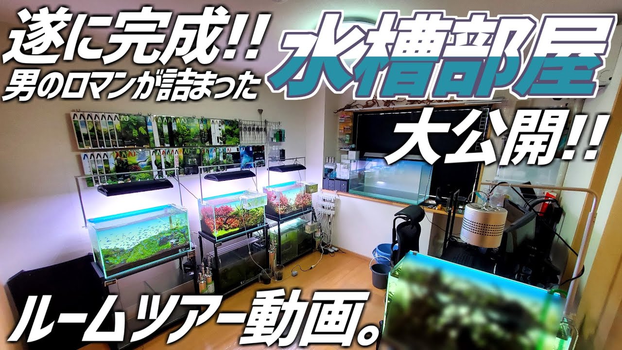 【ルームツアー】男の秘密基地、水槽部屋の全てをお見せします。#193【アクアリウム】