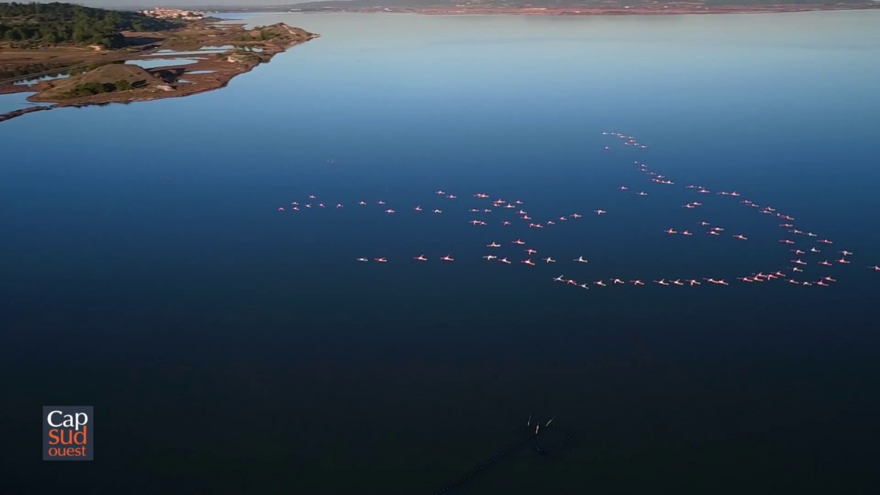 Cap Sud Ouest: Gruissan -Corbi&egrave;res Maritimes (teaser)