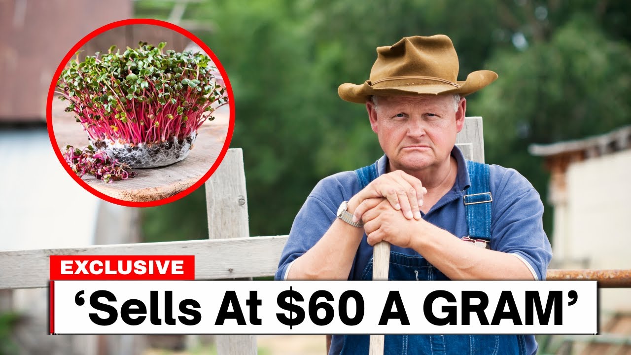 Farm These 10 Crops and Never Work a 9–5 Again