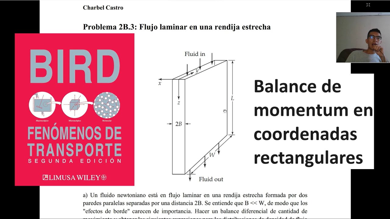 Balance de momentum en coordenadas rectangulares