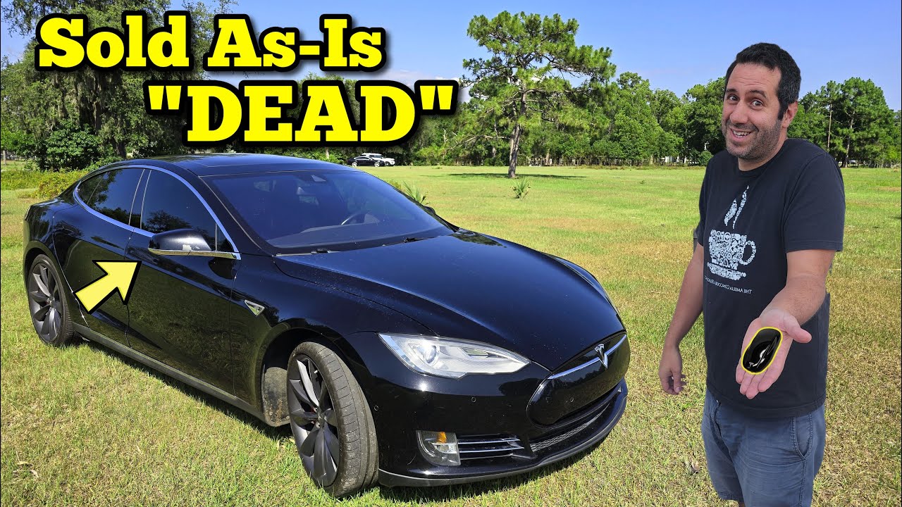 I Bought a $120,000 Tesla at Auction and got 50% Off because it was Marked 