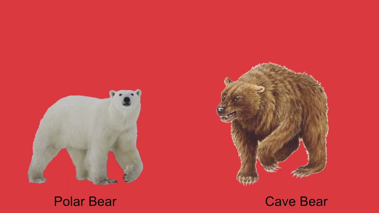 Living Vs Extinct Size Comparison 3D