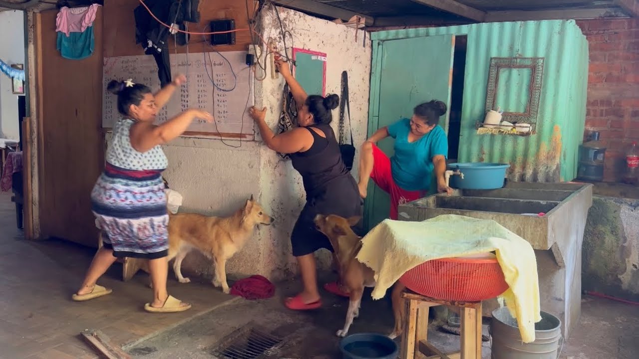 La corriente || Las Vecinas