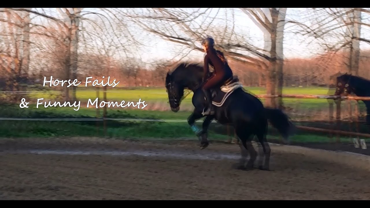 Horse Fails & Funny Moments