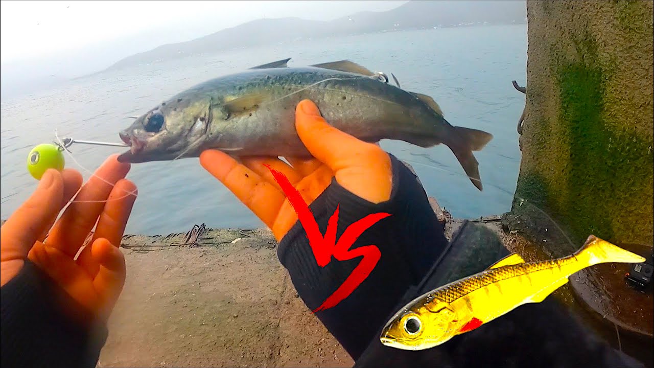 Esca Vera VS Esca Finta in Norvegia! PREDATORE DI OVER 4 KG DA RIVA A SPINNING! Altra Pescata EPICA!