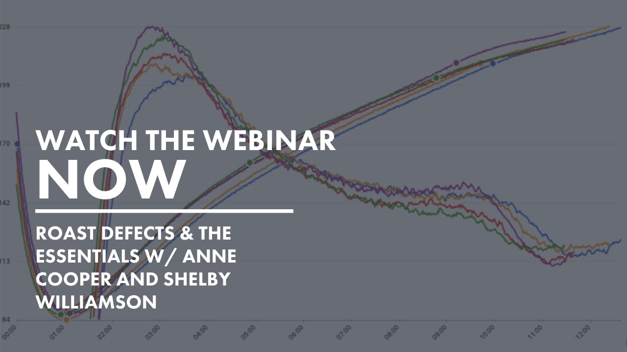 RoastID Round 1 Webinar - Roast Defects & The Essentials