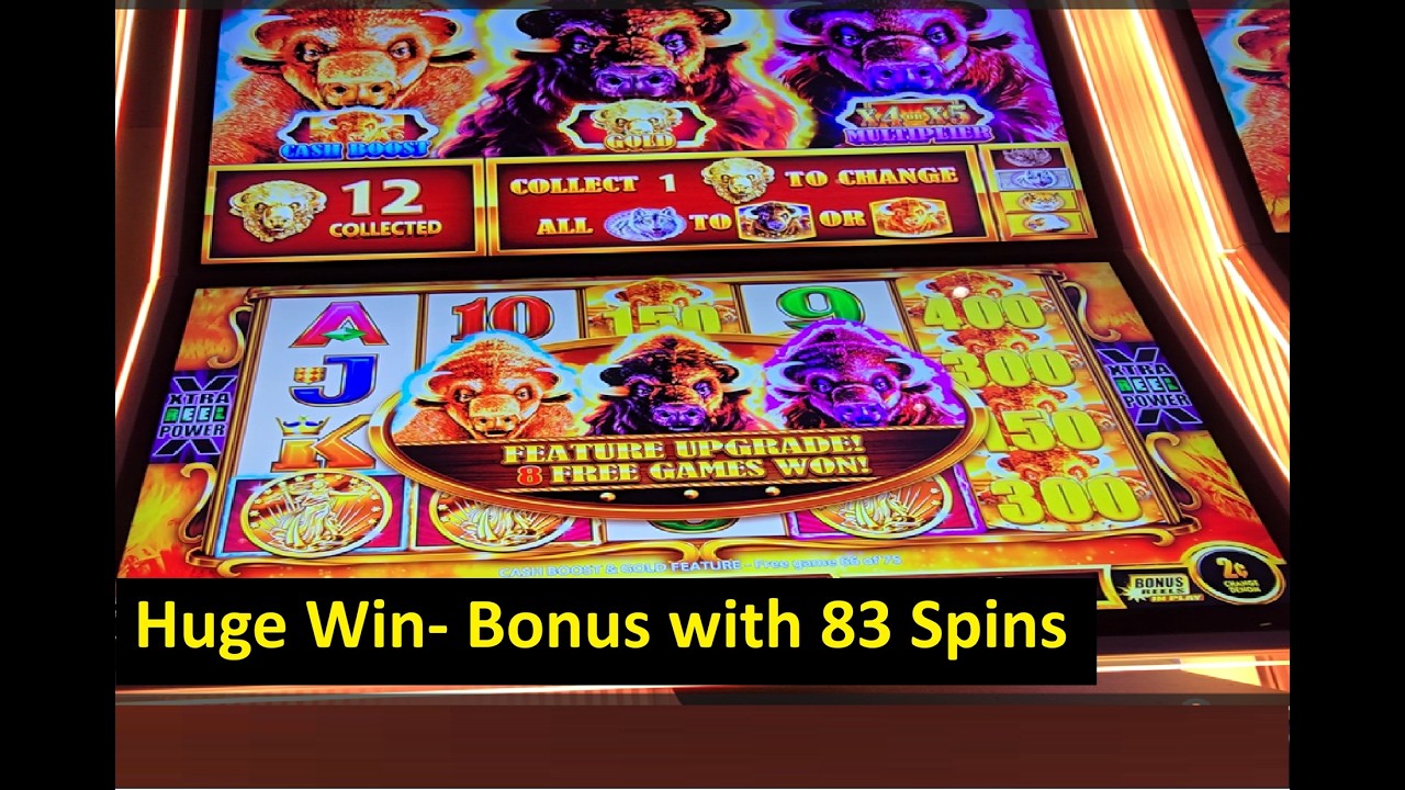 Huge Win on the Buffalo Gold Cash Slot! Aristocrat Game