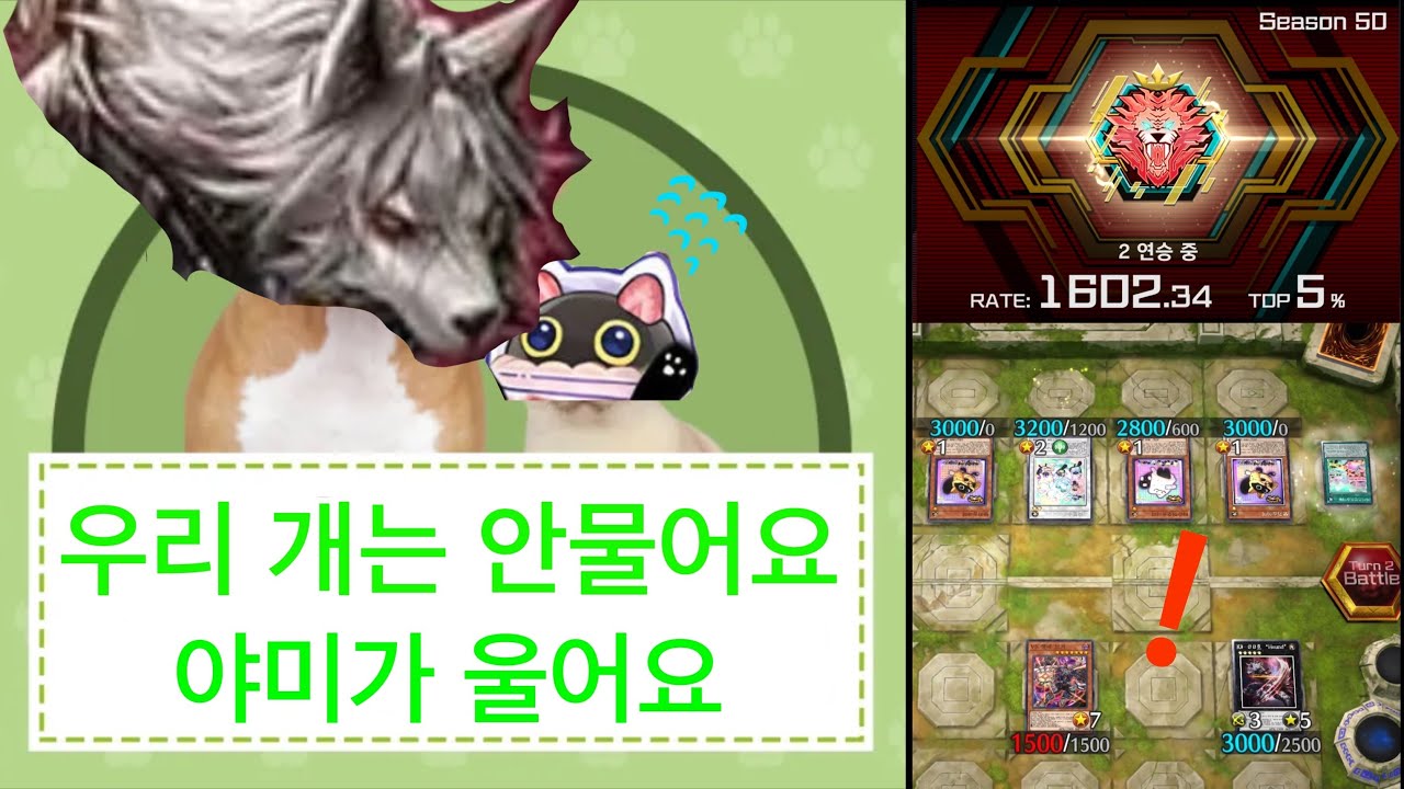 Hound [K9VS 레이팅 리플레이]