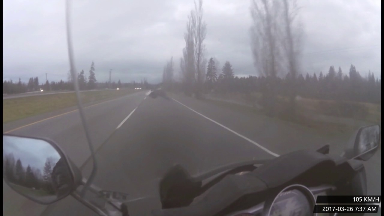 Close call with an eagle.