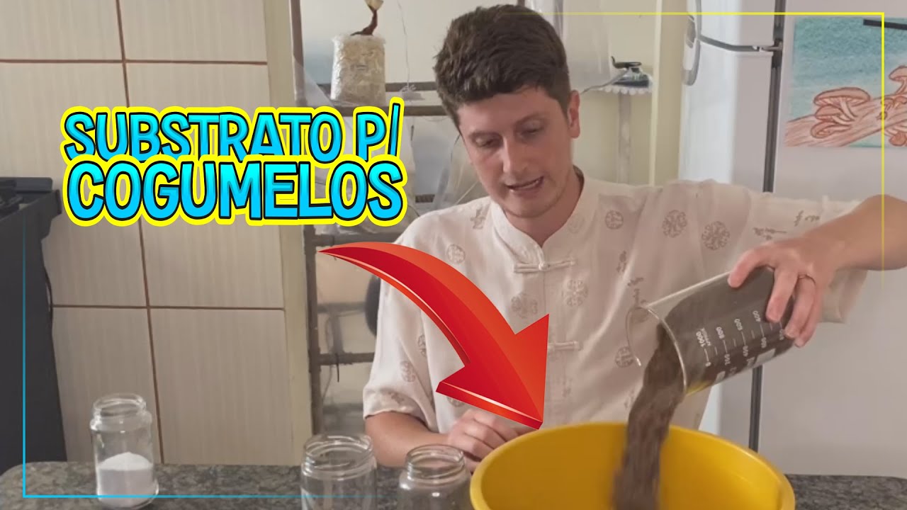 🍄 Substrato Para Cogumelos  - Cultivo Caseiro