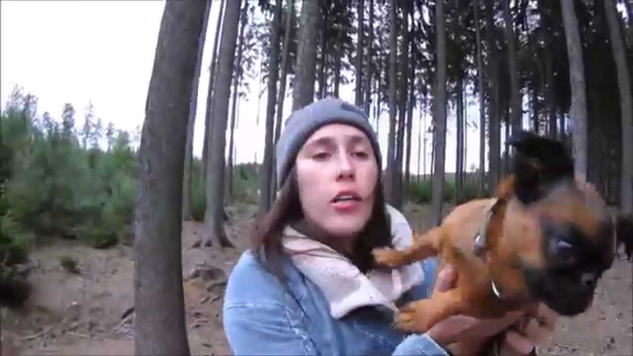 Dubinka the Brabancon - #dogvlog2 / mushrooms