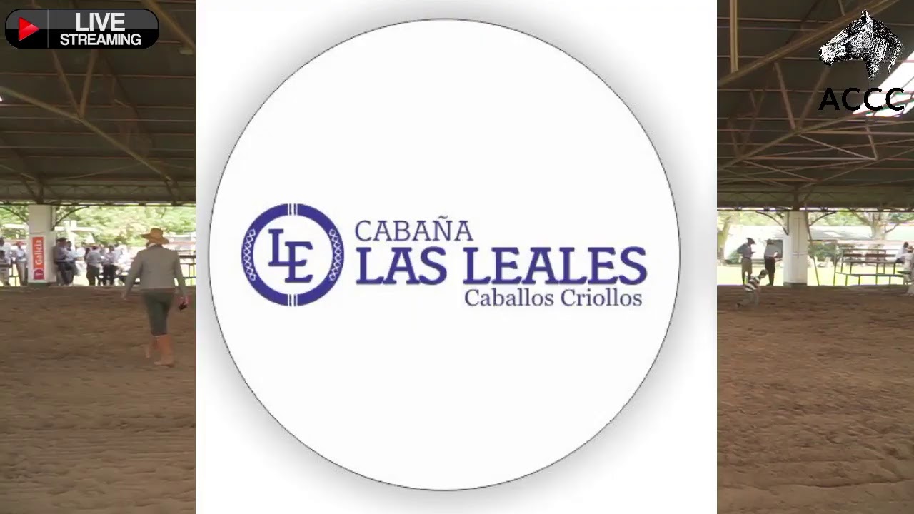 Final Nacional de la prueba Felipe Z. Ballester 