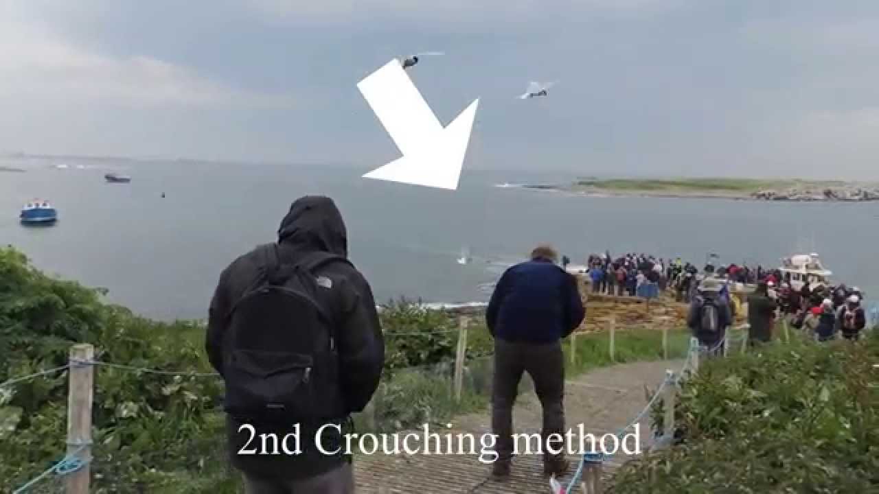Tern attack on Inner Farne!