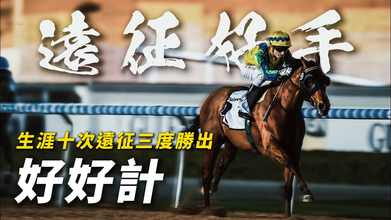 十次遠征三度勝出！鄭俊偉馬房的泥地怪傑｜好好計｜夥拍杜利萊贏G1聖雅尼塔短途錦標賽｜首匹在美國贏馬的香港賽駒｜