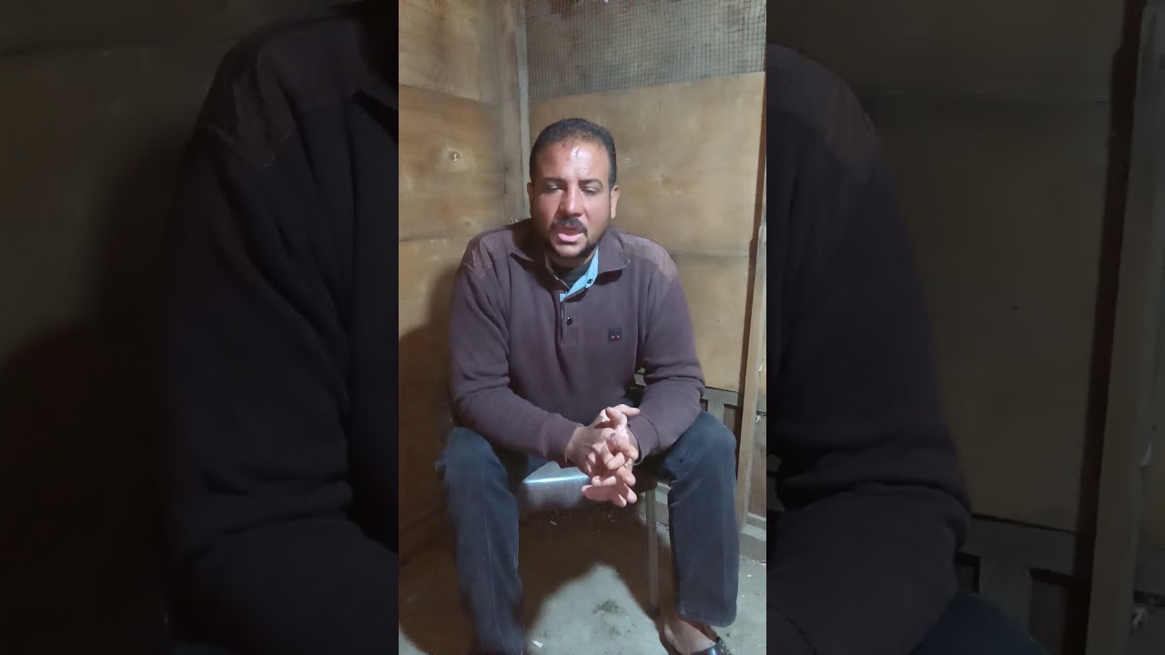 ميت غمر دقهليه